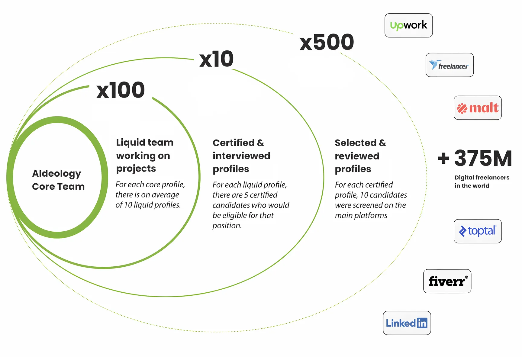 Liquid AI Model Visualization - Team Ecosystem