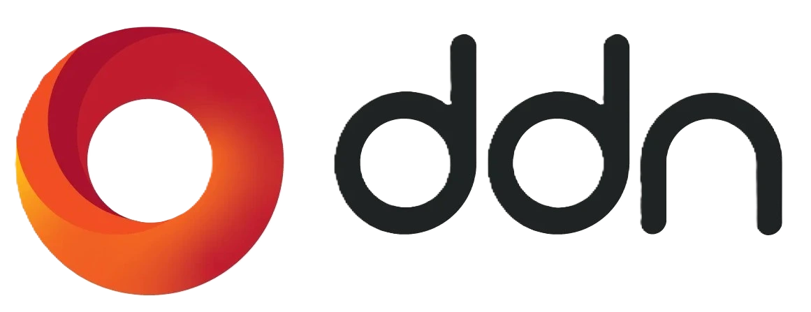 DDN logo