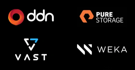 Leading Storage Vendors (DDN, VAST, Weka)